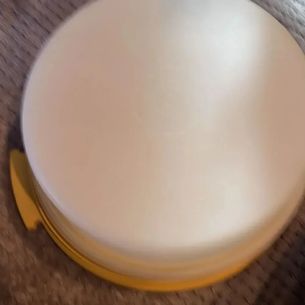 Vintage cake taker Tupperware